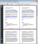 Variant1 screen shot